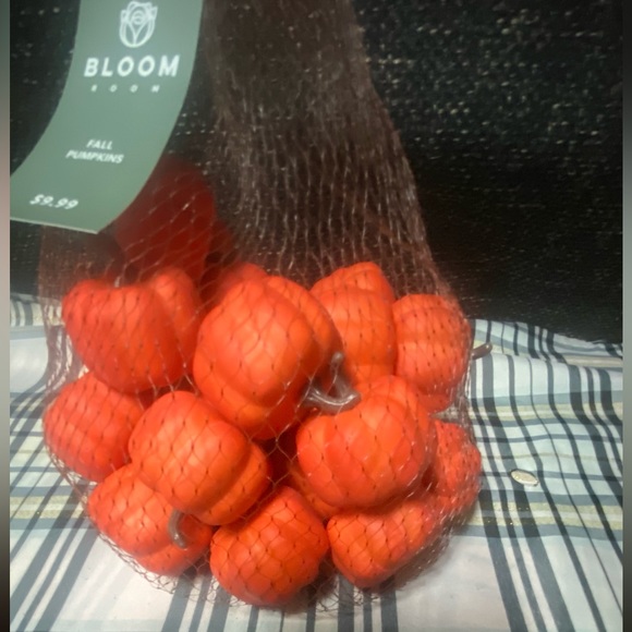 Miniature Fall Pumpkin Gourd Lot - Picture 13 of 14